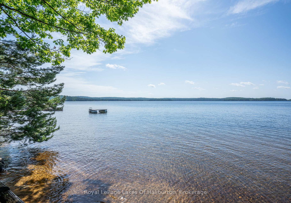 1079-halls-lake-road-algonquin-highlands-ontario-x13520590