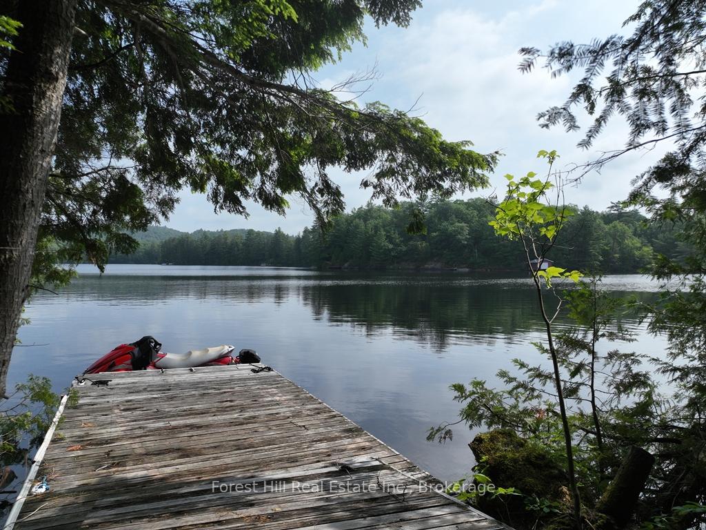 0-bear-lake-road-algonquin-highlands-ontario-x13523398