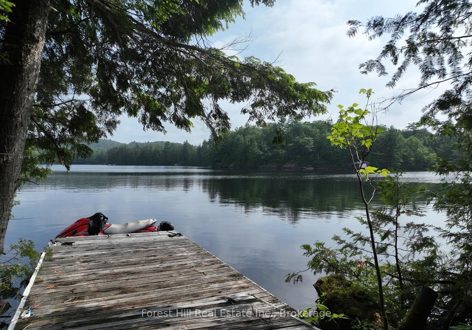 0-bear-lake-road-algonquin-highlands-ontario-x13523398