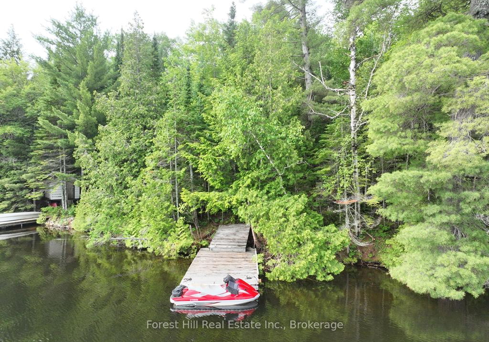 0-bear-lake-road-algonquin-highlands-ontario-x13523398