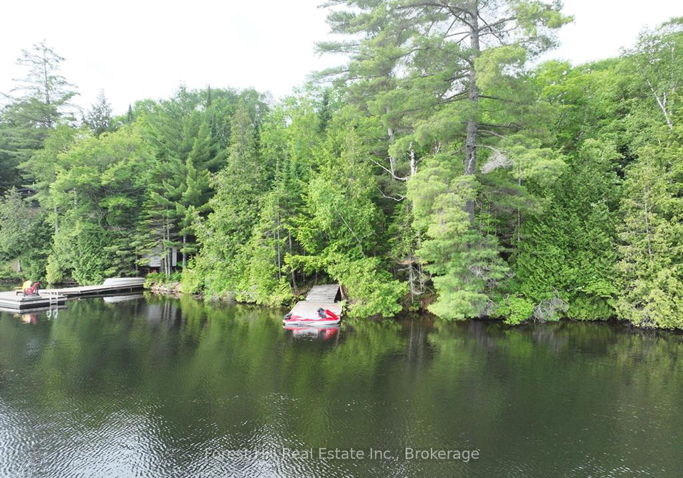 0-bear-lake-road-algonquin-highlands-ontario-x13523398