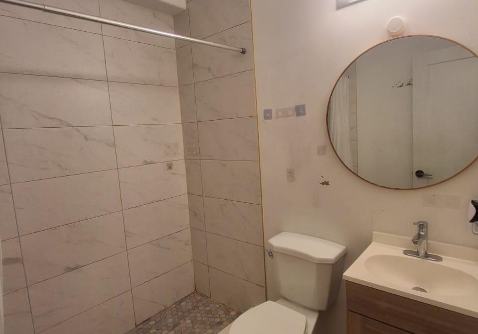 66-wellington-street-s-hamilton-ontario-x13524326