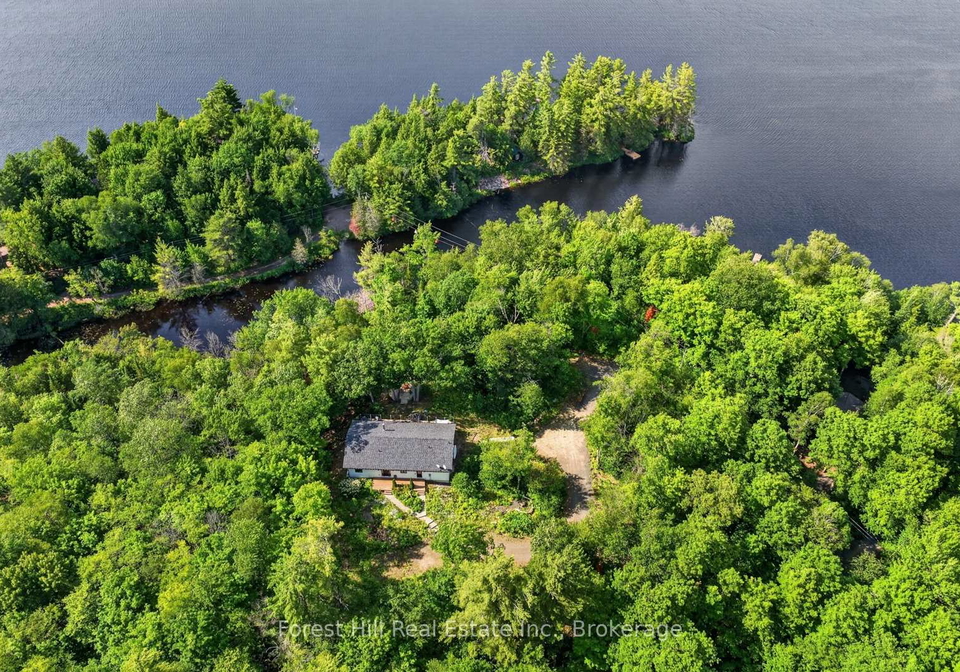 1065-pine-lane-s-lake-of-bays-ontario-x13524678