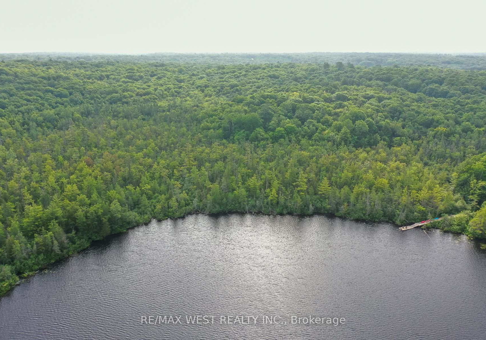 1160-butterfly-road-muskoka-lakes-ontario-x13526356
