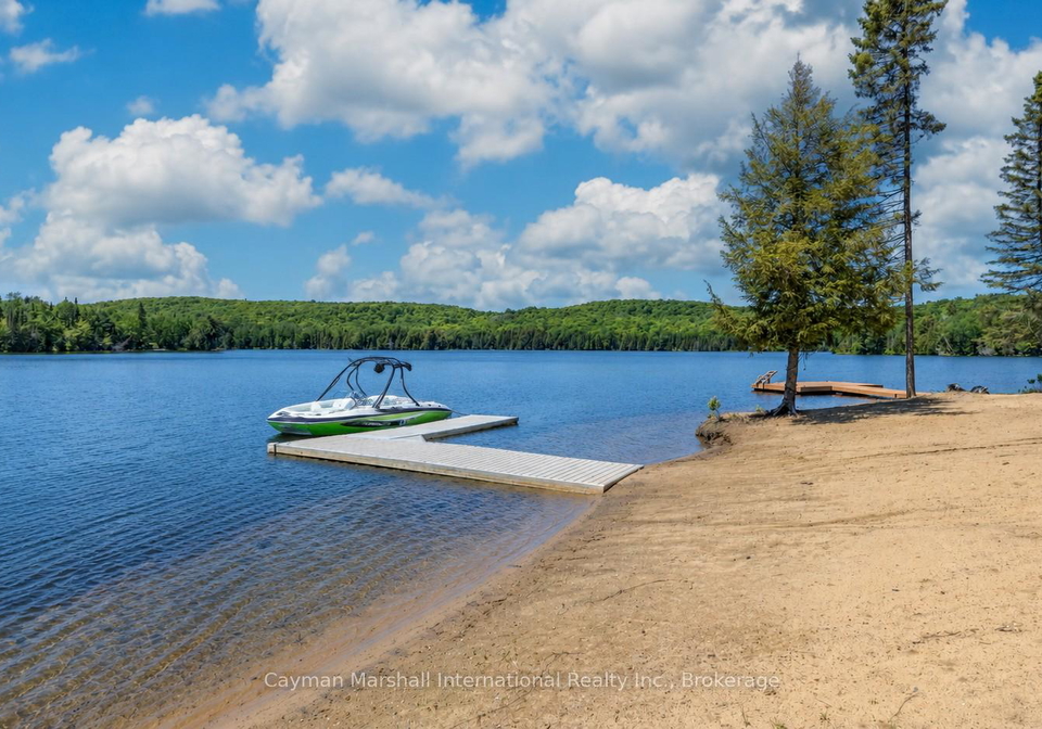 142-himbury-lane-kearney-ontario-x13526424