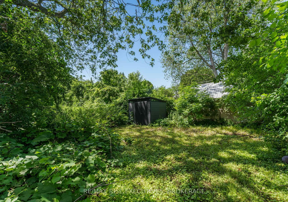690-johnson-street-kingston-ontario-x13528742