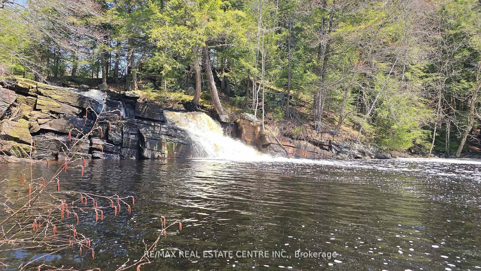 1033-north-shore-drive-gravenhurst-ontario-x13530948