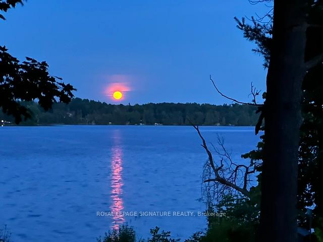 321-avery-point-road-kawartha-lakes-ontario-x13531750