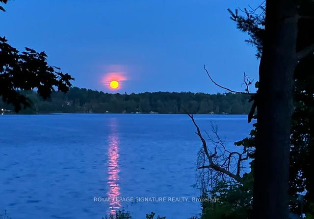 321-avery-point-road-kawartha-lakes-ontario-x13531750