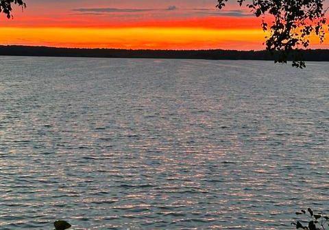 321-avery-point-road-kawartha-lakes-ontario-x13531750
