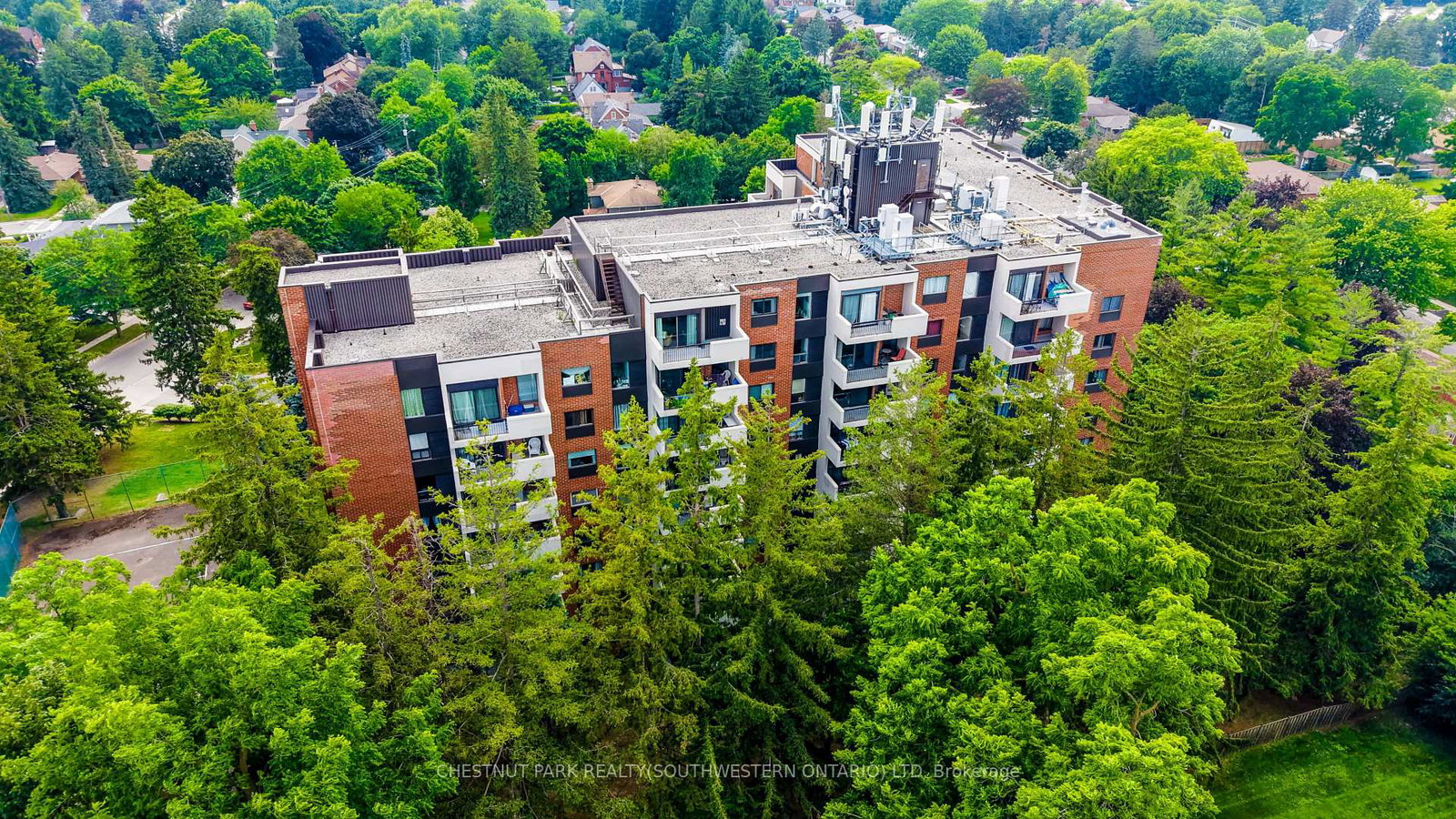 260-sheldon-avenue-n-kitchener-ontario-x13532550