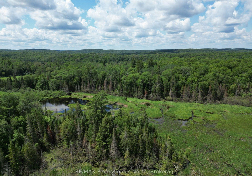 1419-clement-lake-road-highlands-east-ontario-x13539212