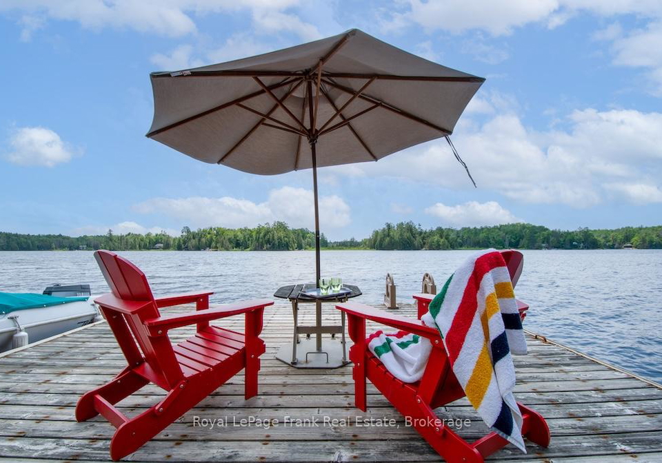 24-fire-route-306-trent-lakes-ontario-x13540230