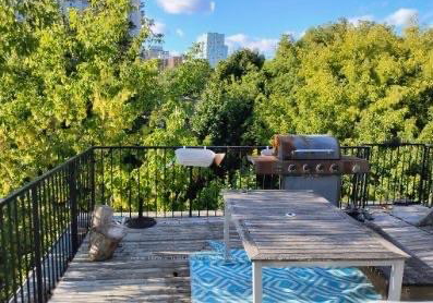 49-waverley-street-ottawa-ontario-x13541758