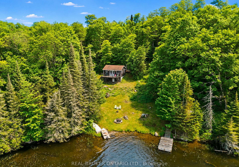 41-andy-neville-parkway-machar-ontario-x13543290