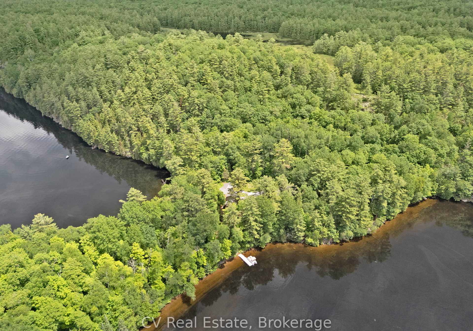 11165-kushog-north-algonquin-highlands-ontario-x13545712