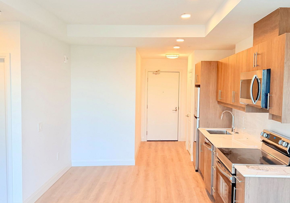 1333-weber-street-e-kitchener-ontario-x13545860
