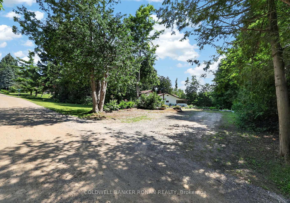 16-dean-road-mulmur-ontario-x13549110