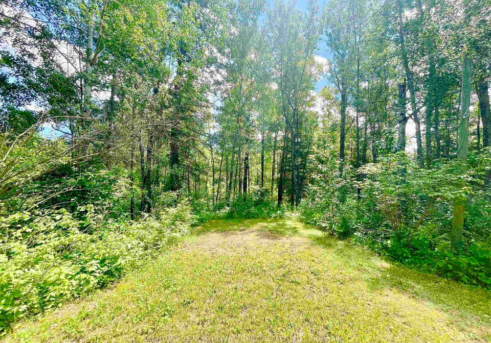 20-falls-road-kenora-remote-area-ontario-x13549174
