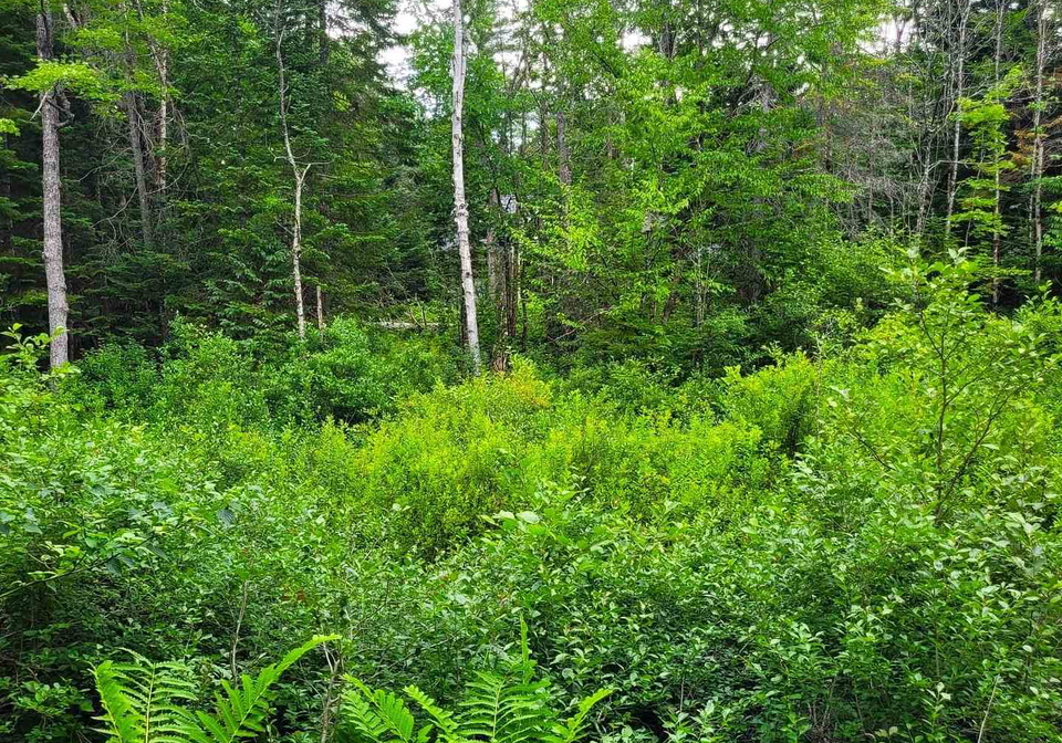 835-stephenson-road-e-huntsville-ontario-x13551324