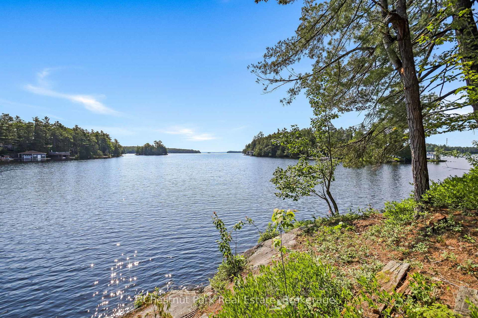 1-merlin-island-m91-island-muskoka-lakes-ontario-x13552974