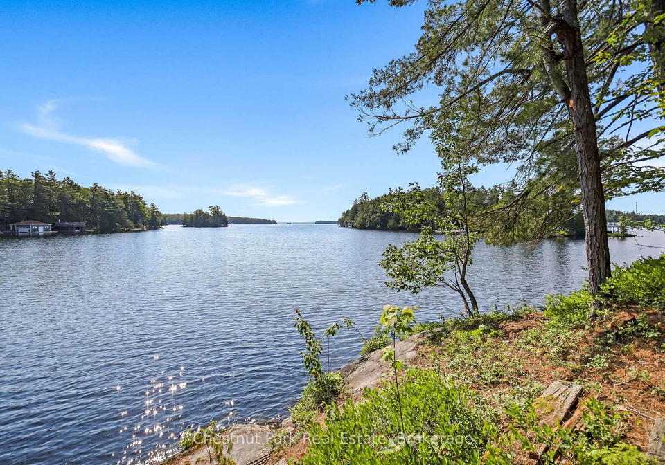 1-merlin-island-m91-island-muskoka-lakes-ontario-x13552974