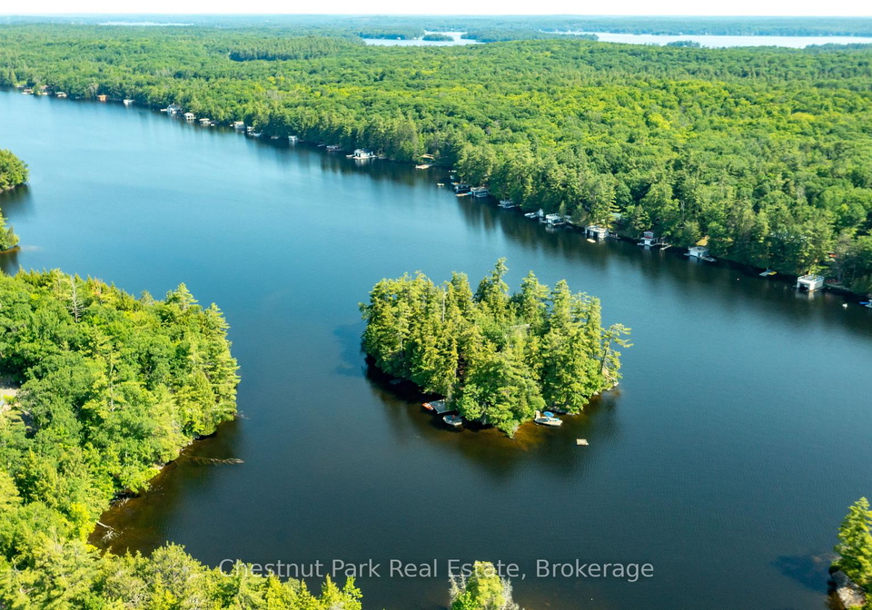 1-merlin-island-m91-island-muskoka-lakes-ontario-x13552974