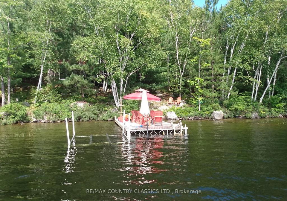 2378-papineau-lake-road-hastings-highlands-ontario-x13553372