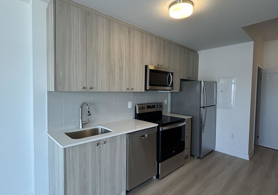 25-palace-street-kitchener-ontario-x13558382