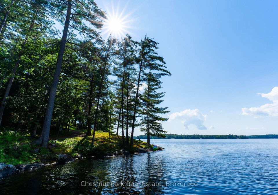1218-purdy-road-muskoka-lakes-ontario-x13563242