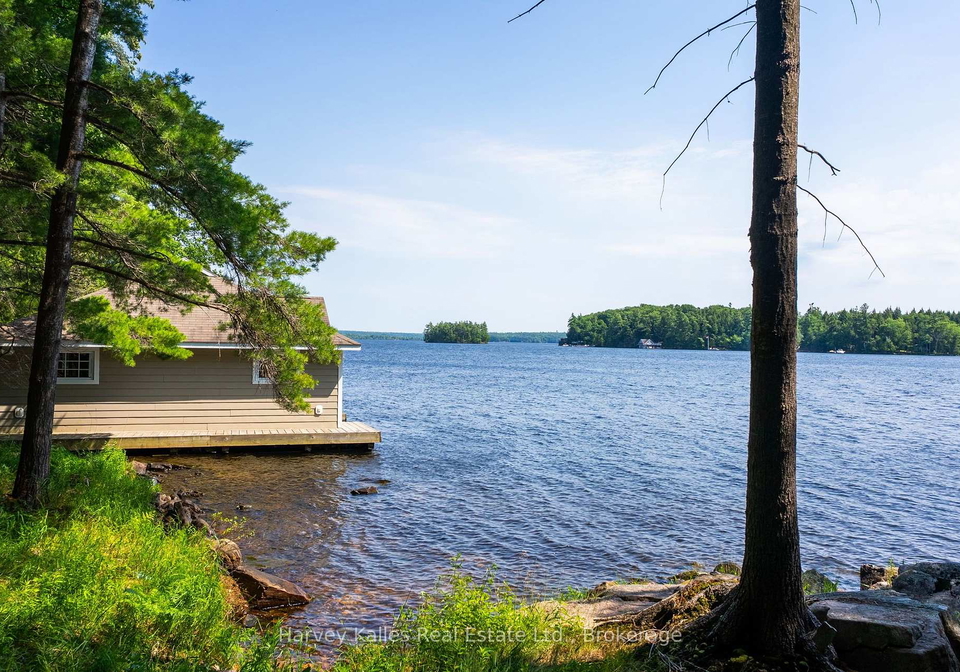 37-m81-pine-island-muskoka-lakes-ontario-x13564852