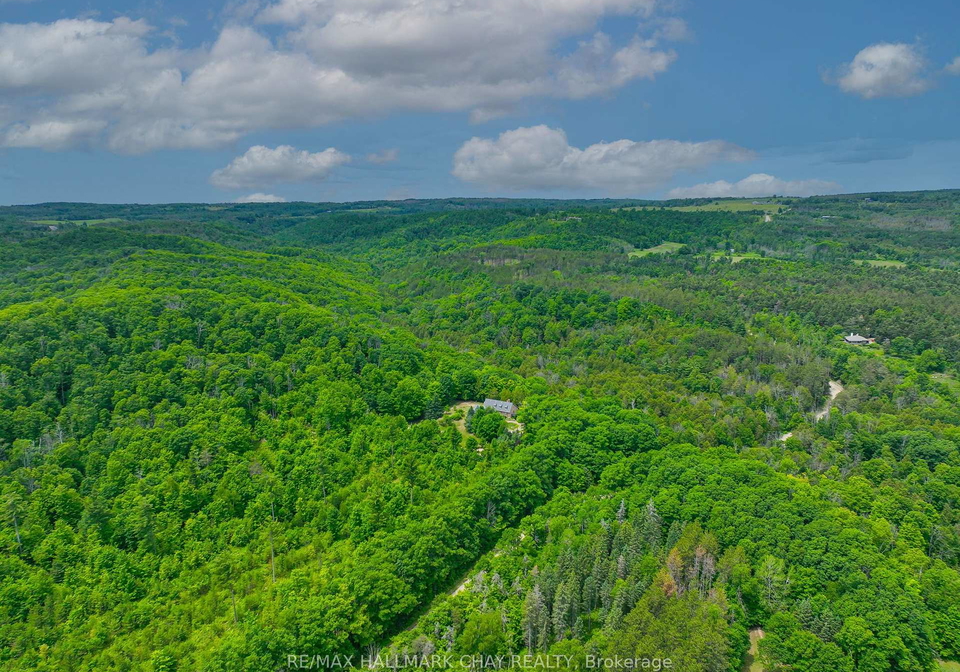 718078-1st-line-east-line-mulmur-ontario-x13565452