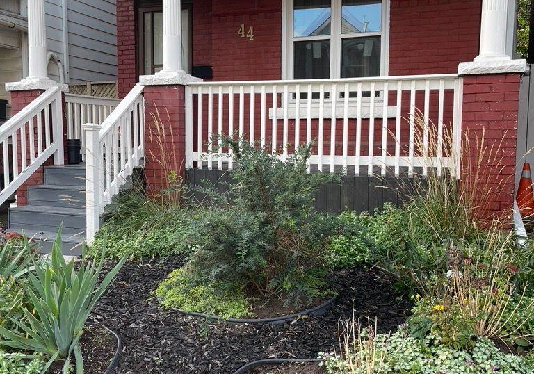 44-bristol-street-hamilton-ontario-x13570688