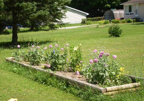 1225-spring-valley-road-minden-hills-ontario-x13573082