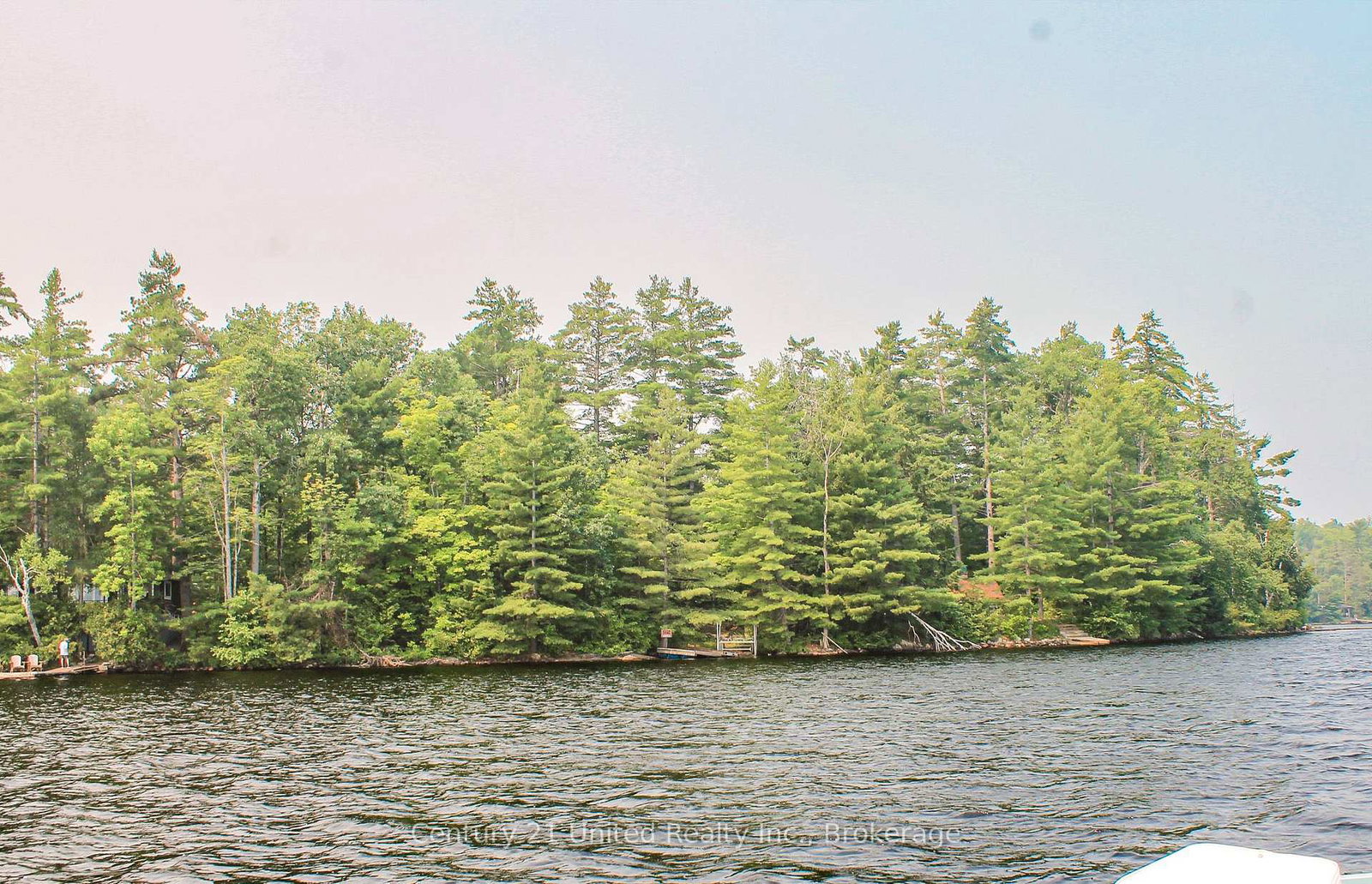 47-mckee-avenue-trent-lakes-ontario-x13576206