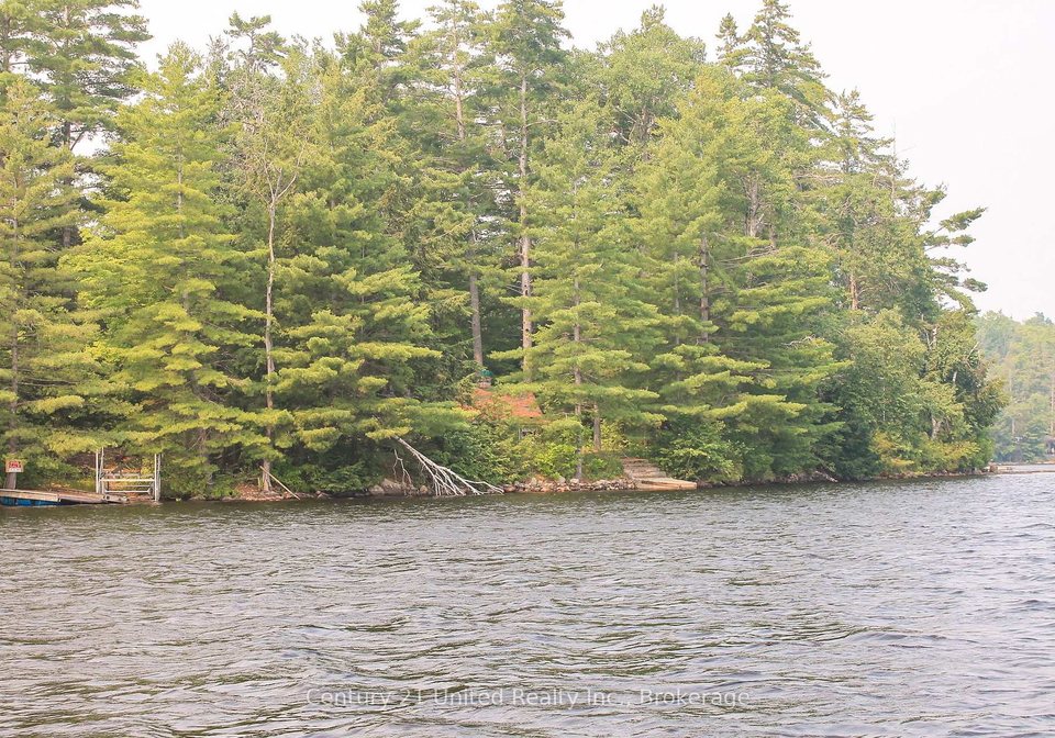 47-mckee-avenue-trent-lakes-ontario-x13576206