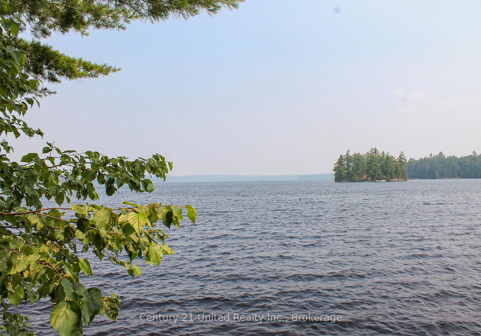 47-mckee-avenue-trent-lakes-ontario-x13576206