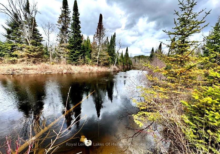 1033-bayberry-lane-highlands-east-ontario-x13578478