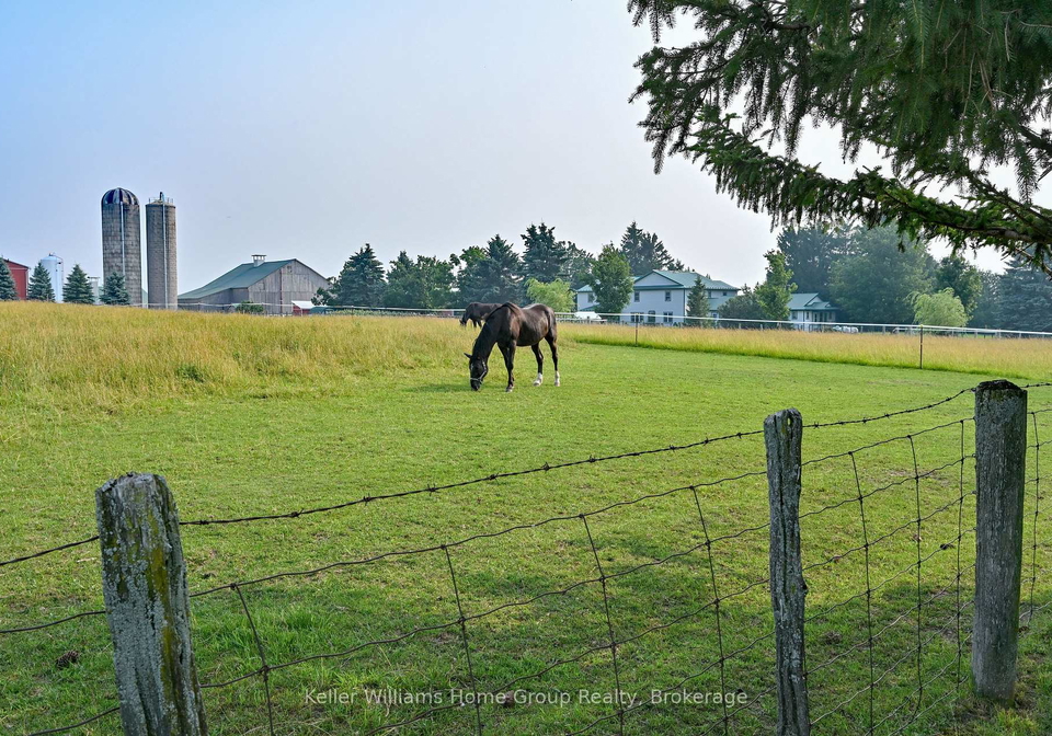269514-grey-road-9-grey-highlands-ontario-x13579282