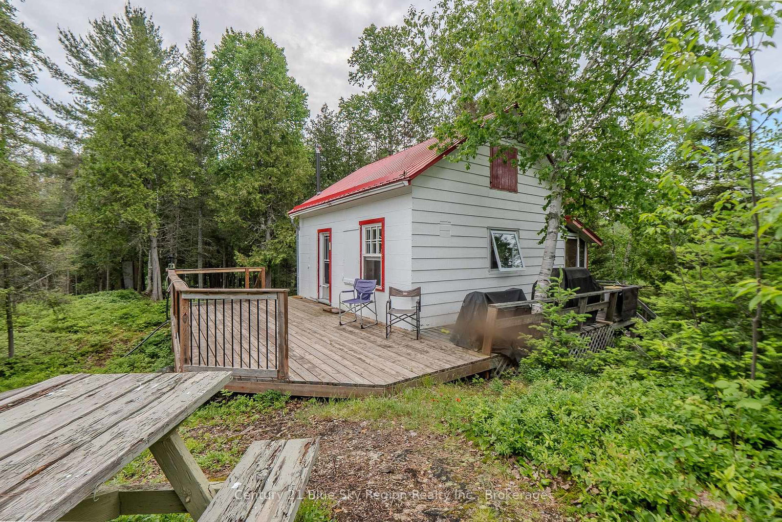 44-island-temagami-ontario-x13583410