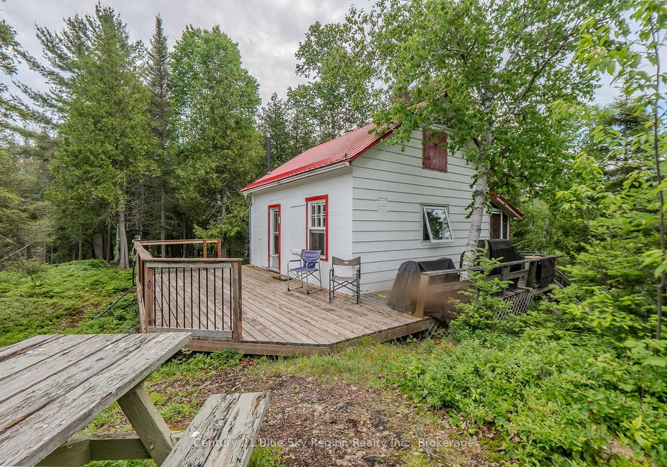 44-island-temagami-ontario-x13583410