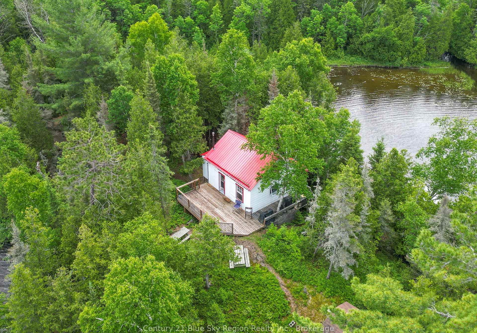 44-island-temagami-ontario-x13583410