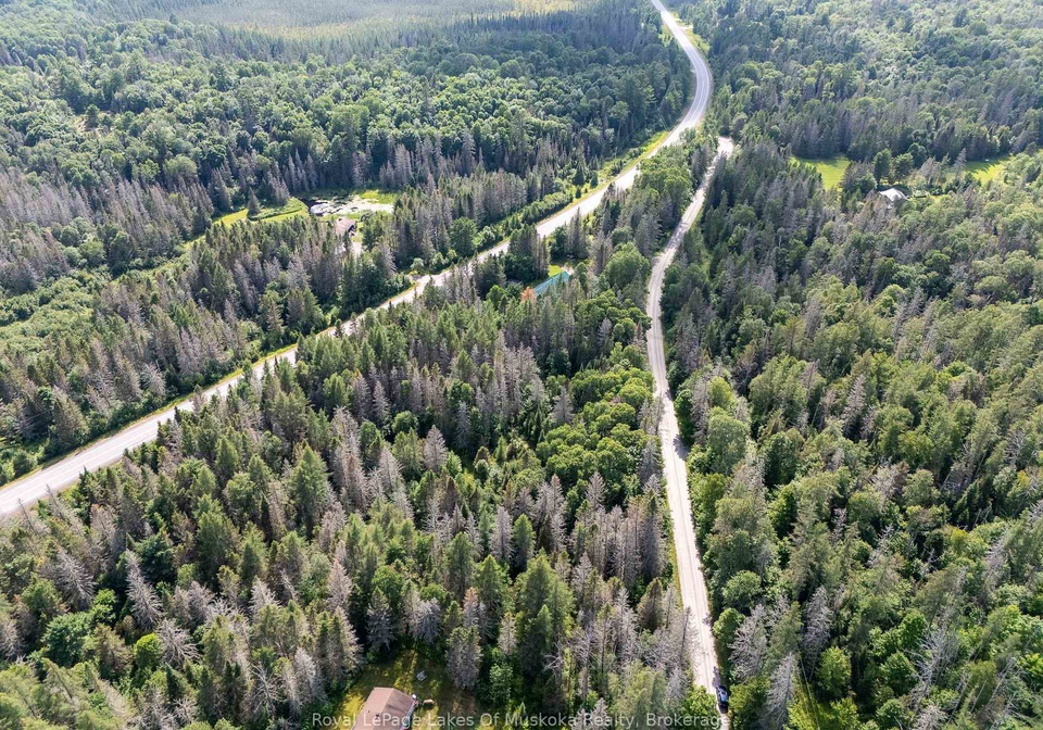 77-grindstone-road-magnetawan-ontario-x13584518