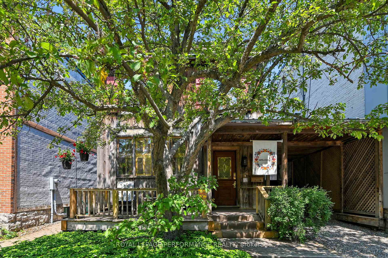 249-york-street-ottawa-ontario-x13586188