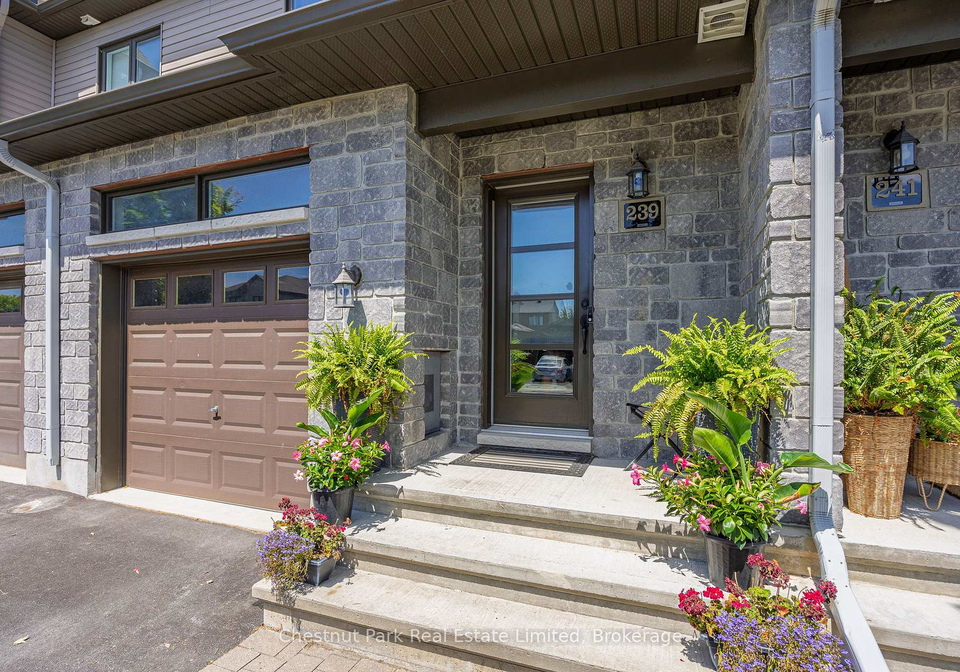 239-king-street-carleton-place-ontario-x13588204
