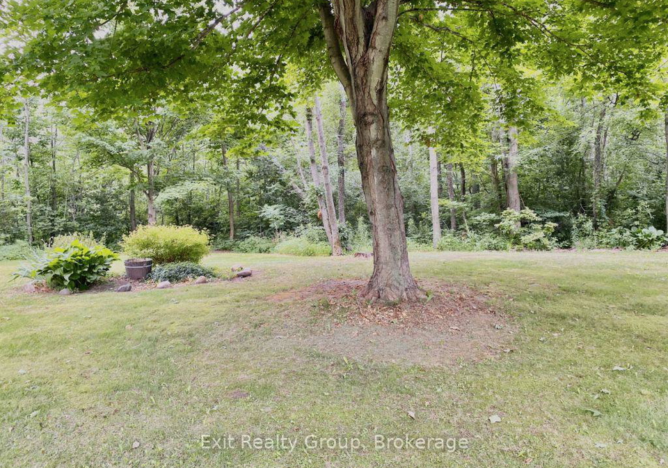 15369-little-lake-road-brighton-ontario-x13592654