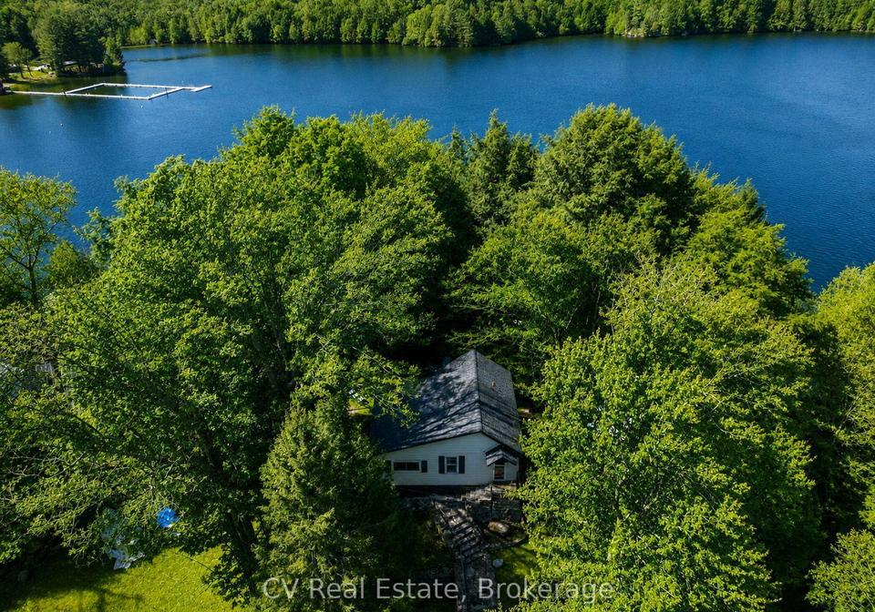 1117-bert-sims-road-n-muskoka-lakes-ontario-x13593756
