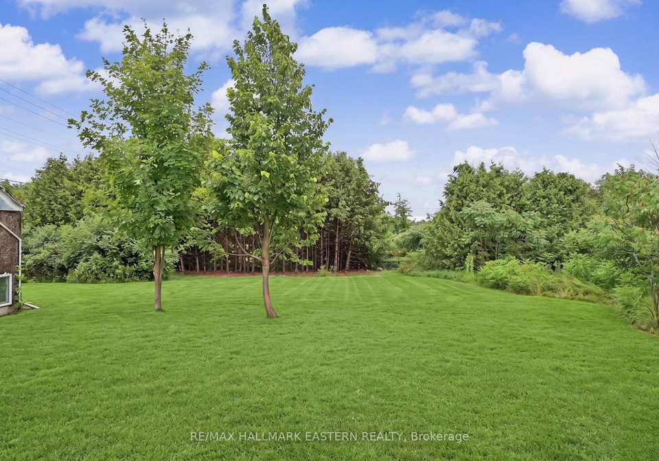 2260-buckhorn-road-selwyn-ontario-x13594502