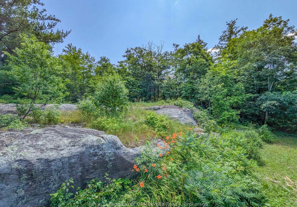 1314-winhara-road-gravenhurst-ontario-x13599200