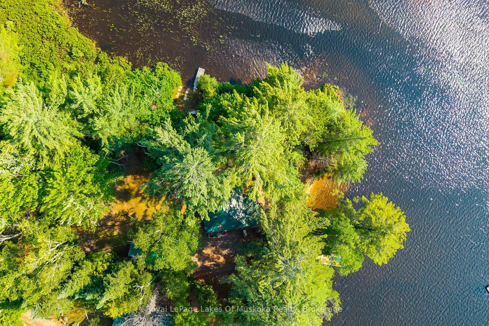 1015-goodlife-lane-algonquin-highlands-ontario-x13599678